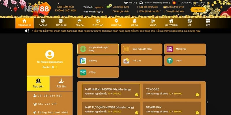 New88 hỗ trợ nhiều phương thức nạp tiền khác nhau
